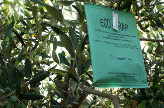 Eco-Trap : A non-toxic and environmental safe way