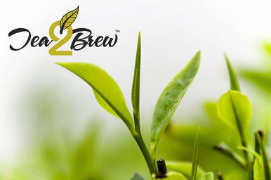 Ginger Twist Tea, Loose Leaf Black Tea with Natural Ginger, Resealable Pouch, 3.5 oz.