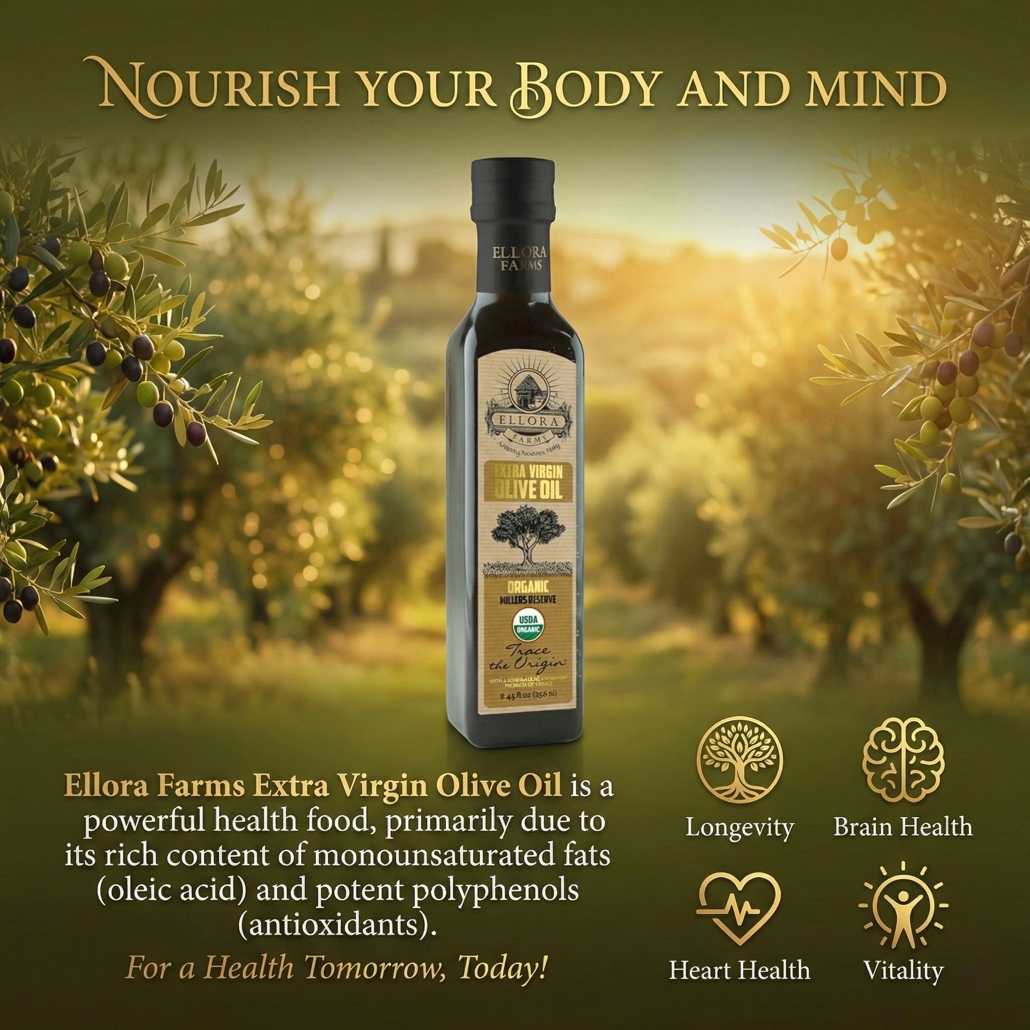Ellora Farms, Olive Oil Extra Virgin Organic, Traceable Greek, High phenols Cold press, Kosher, 8.45 oz. Glass Bottle, Pack of 2