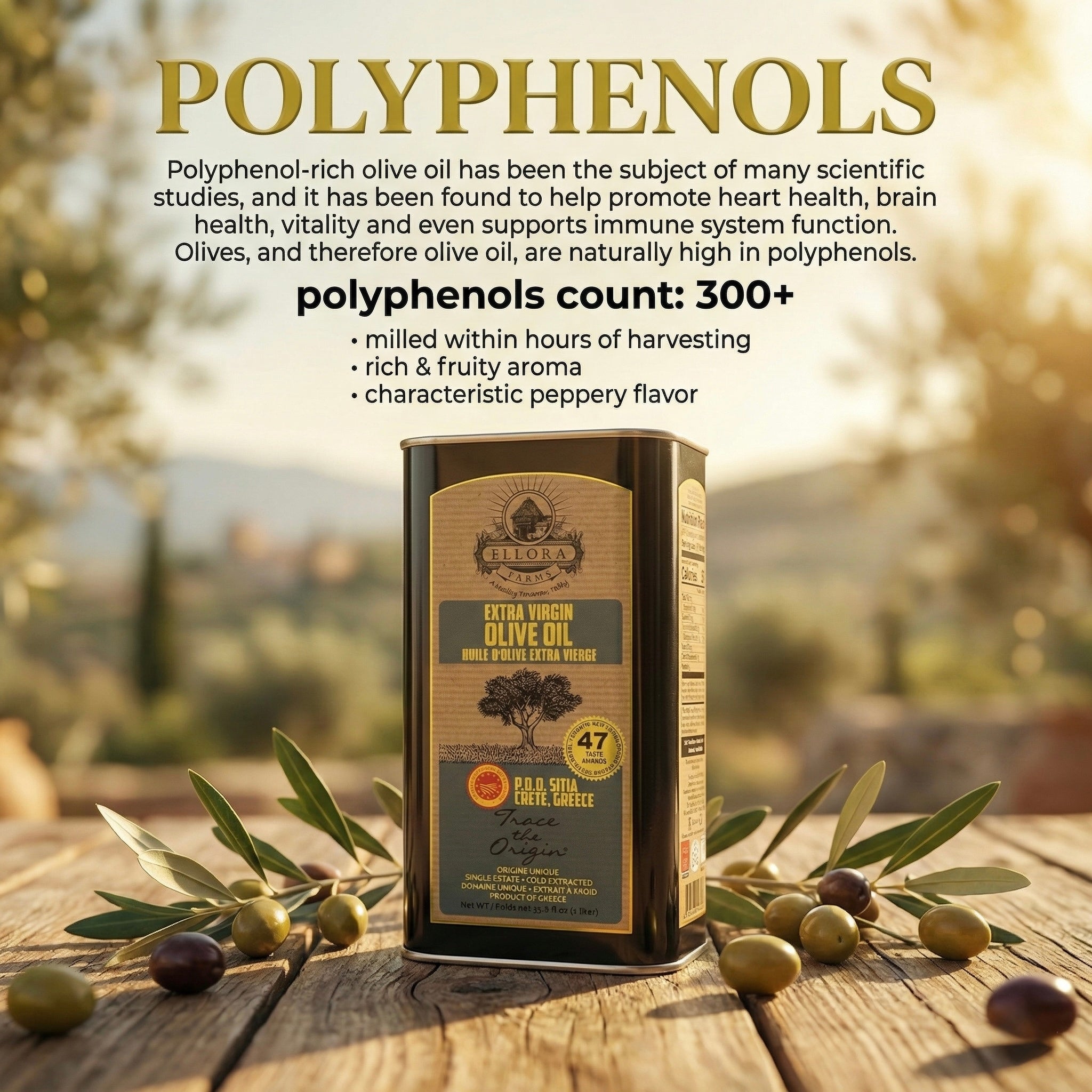 Aleta Organic & Ellora PDO SITIA Single Estate Extra Virgin Greek Olive Oil, 1 Ltr Tin, 33.8 oz. Combo