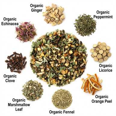 Organic Throat Therapy Tea, Caffeine Free Ginger & Peppermint Herbal Infusion, Wellness Tea Collection, 2 Oz Jar