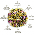 Organic Dream Catcher Tea, Caffeine Free Herbal Infusion, Wellness Tea Collection, 1 oz. Jar