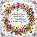 Organic Dream Catcher Tea, Caffeine Free Herbal Infusion, Wellness Tea Collection, 1 oz. Jar