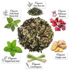 Organic Holy Tulsi Tea, Green tea, Wellness tea collection, 1.5 oz. Jar