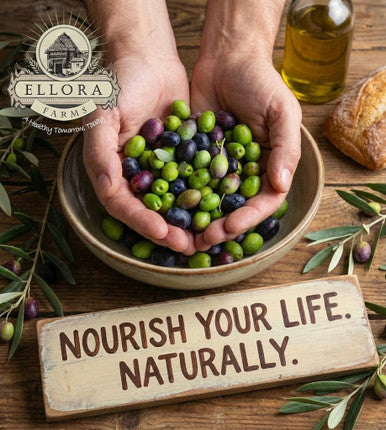 Aleta Organic & Ellora PDO SITIA Single Estate Extra Virgin Greek Olive Oil, 1 Ltr Tin, 33.8 oz. Combo